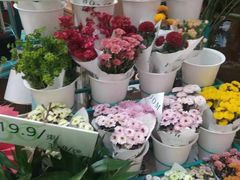 -BoBloom花店(晶耀前滩店)