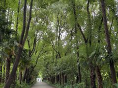 -同里国家湿地公园
