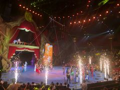 -珠海横琴长隆《卡卡虎奇遇记》