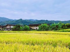 -云水谣景区-土楼之光文化园