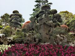 -上海鲜花港