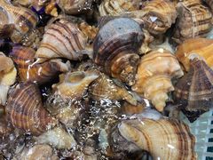 -老虎滩船说·海胆水饺·大连海鲜(老虎滩店)