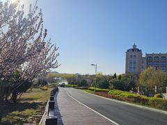 -大堂吧(大连金石滩绿发希尔顿度假酒店)