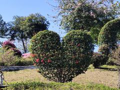 -东莞植物园