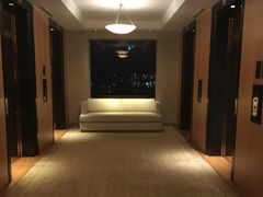 -新加坡丽思卡尔顿美年酒店