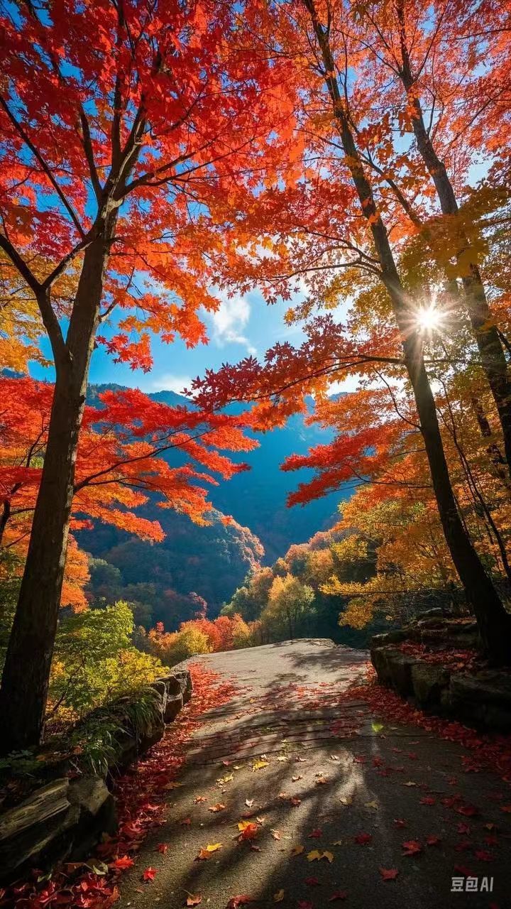 我拍到的治愈系风景#我拍到的治愈画面