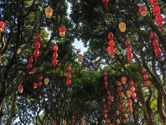 -溪岸路花鸟市场