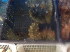 iphone_upload_pic-渔家颂歌渔家味道(青石路店)