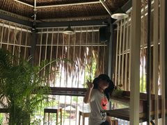 -Rainforest