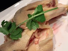 -新一哥粤菜火锅(瑞金店)