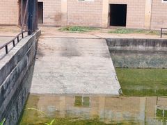 -合肥野生动物园