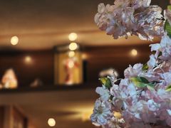 -长崎屋·日本料理·刺身·烧鸟(天河北路店)