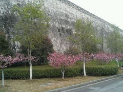 android_upload_pic-武定门公园