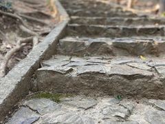 -上海佘山国家森林公园天马山园