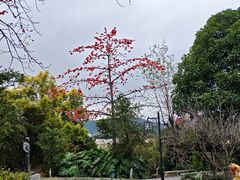 -广州神农草堂中医药博物馆