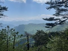 -朱雀国家森林公园