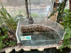 -上海大自然野生昆虫馆