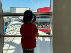 -墨尔本之星 观景摩天轮