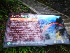 -天燕原始生态旅游区-天门垭景区