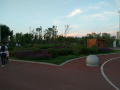 -丁香湖公园
