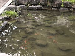 -大围山国家森林公园