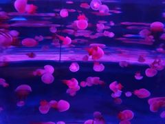 -石林冰雪海洋世界