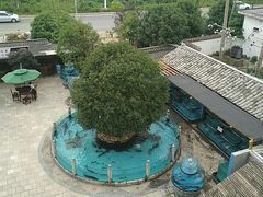 -天怡·鱼工厂(临江店)