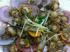 扇贝-海岛渔村大酒店(云霄路店)