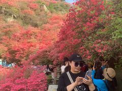 -木兰云雾山