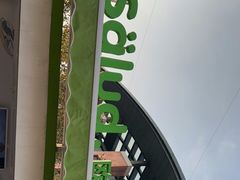 -Salud撒露欧洲冻酸奶(蓝色港湾店)