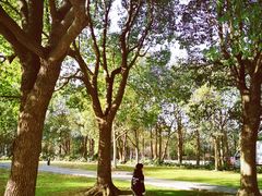 -上海市第一人民医院(松江南部)