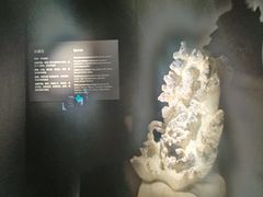 -深圳珠宝博物馆