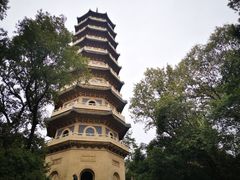 -灵谷景区