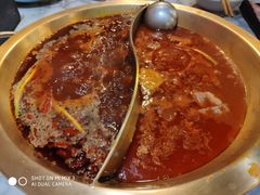 -杨家火锅(国美店)