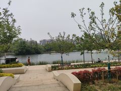-新江湾城公园
