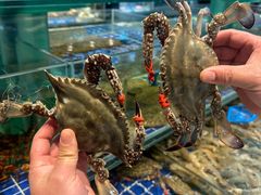 -望海湾海鲜楼·海鲜(河南路店)