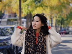 -三里屯东五街银杏大道