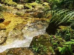 -飞霞风景名胜区