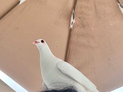 -成都欢乐谷