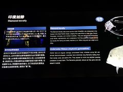 -上海海洋水族馆