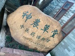 -广州神农草堂中医药博物馆