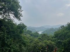 -天鹿湖森林公园