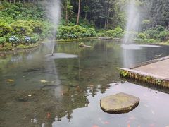 -龙苍沟森林公园