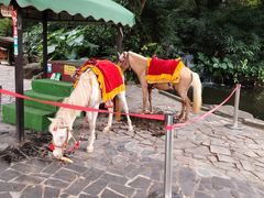 -深圳锦绣中华民俗村