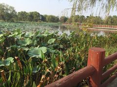-长兴太湖图影湿地文化园