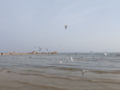 -老虎石海上公园