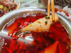耗儿鱼-三哥田螺(北书院街店)
