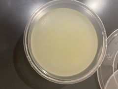 -大炮盐酥鸡(新街口店)