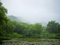 -九曜山