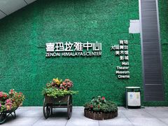 -证大喜玛拉雅中心